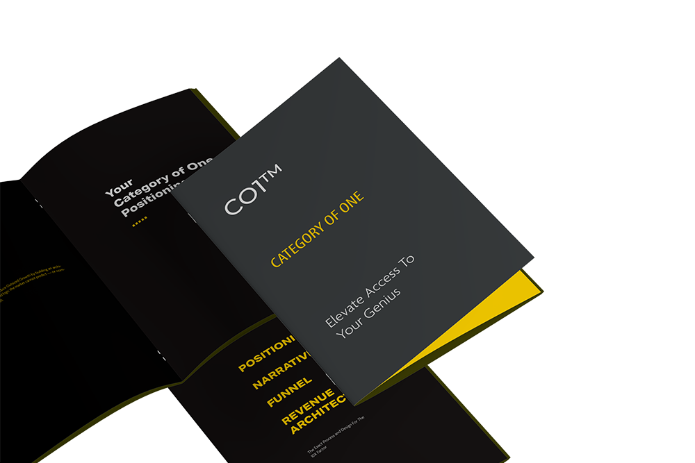 Category of One strategy mockup